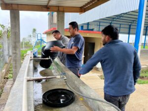 AGUA CON FONDO PARA LA PAZ